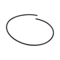 BANJO PUMP O'RING SEGMENT